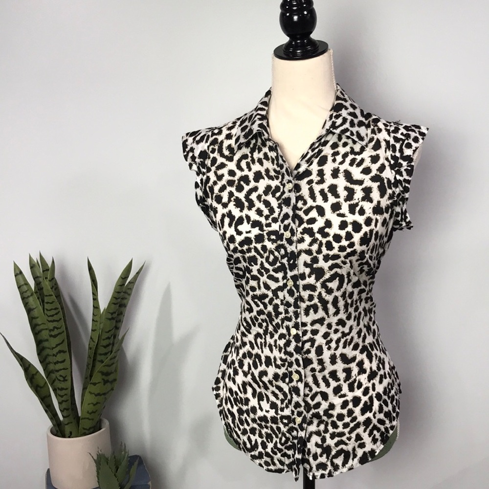 Ann Taylor Top